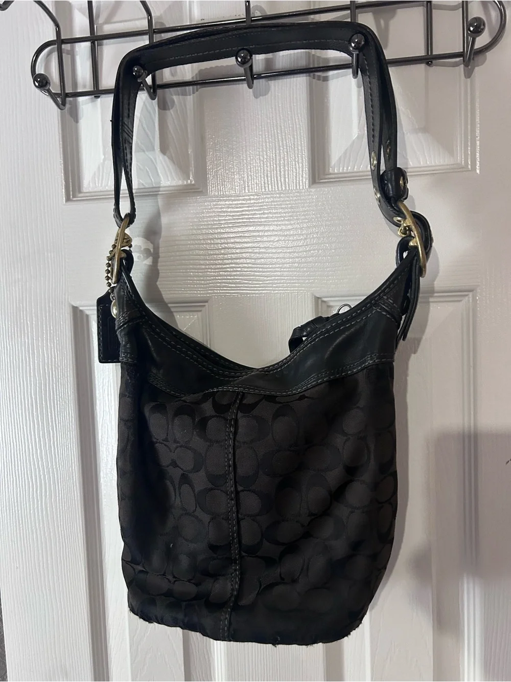 Coach sleek hobo